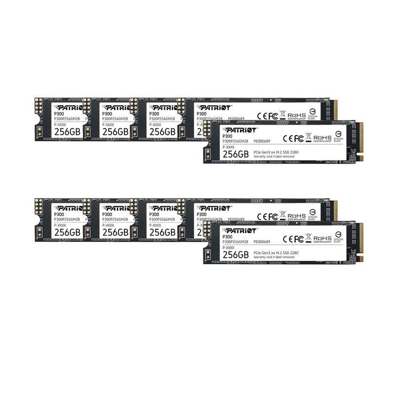 اس اس دی اینترنال پتریوت مدل P300 ظرفیت 256 گیگابایت 